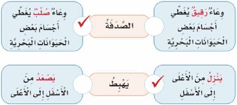 المعنى الصحيح للكلمات